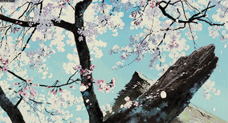 这个春天,广东竟然下起了雪,那场河源巴伐利亚的浪漫樱花雪