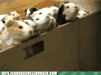 程序员幽默趣图 :后端工程师做 ui 活