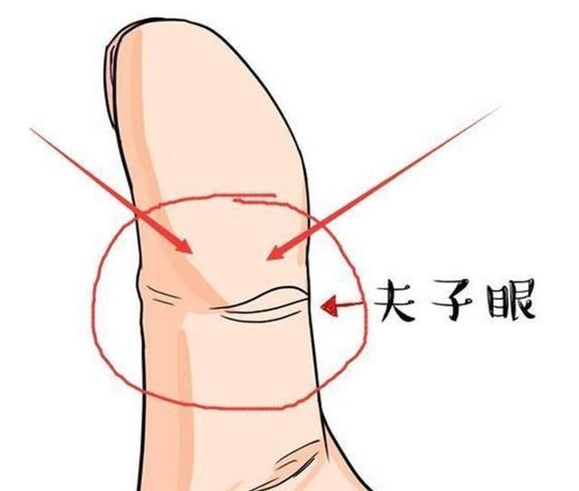 当女人的中指微微弯向无名指时,暗示此人极有夫妻运,婚后夫妻必定十分