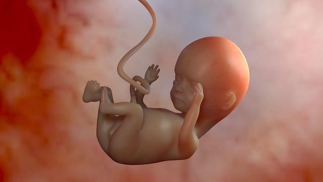 孕期第15周胎儿发育情况,宝宝可以听到你的声音了!