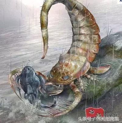 海蝎子通常是海底的居住者,但是也能在淡水中和陆地上生活.