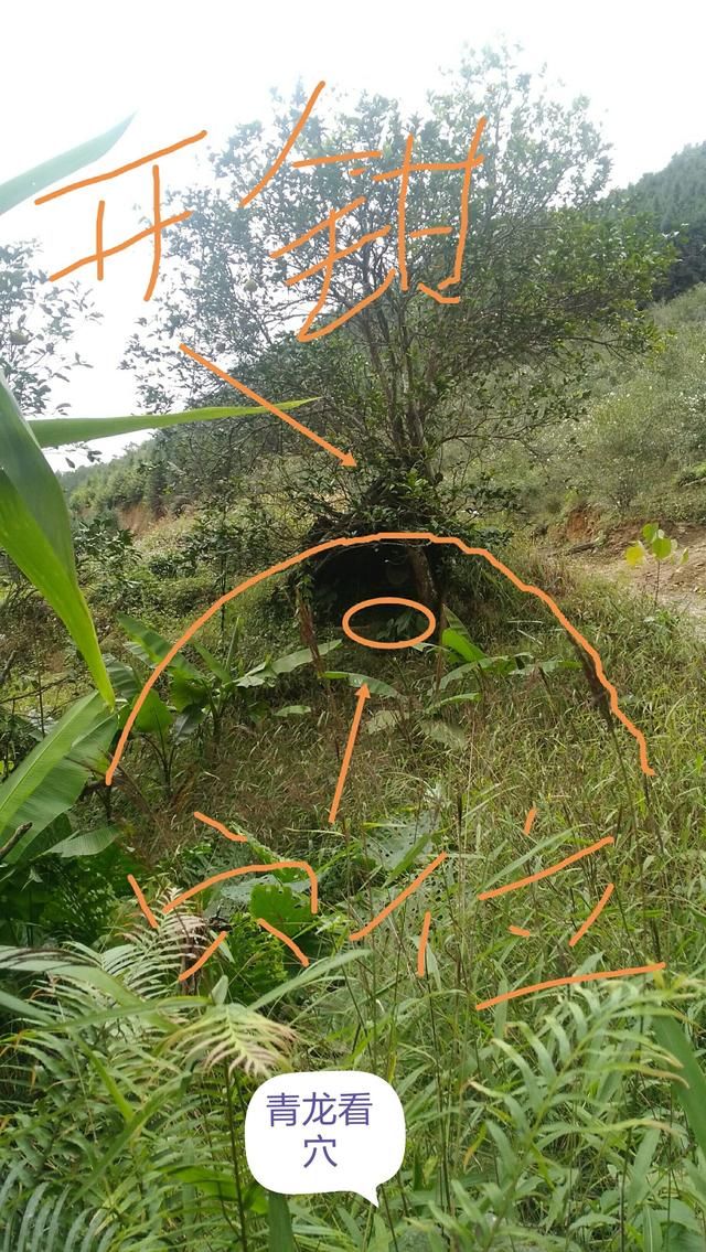 广西风水实地寻龙考察,第一期
