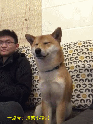 搞笑gif:看看俺们乡里的妹子,在穿着上一点也不比城里