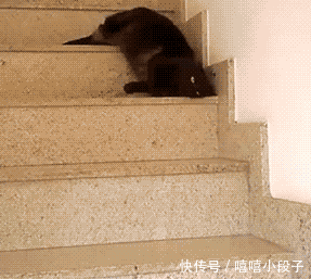 爆笑gif:看到这孩子的表情,你们自己脑补下台词吧