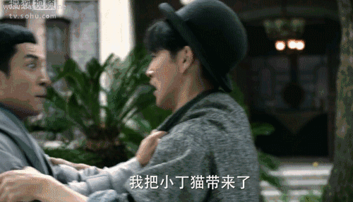 金晨走了,张若昀