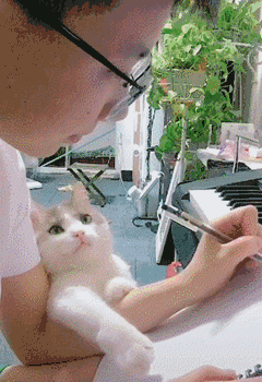 240_350竖版 竖屏gif 动态图 动图