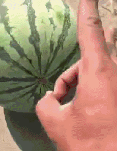 搞笑段子gif:大哥,你后台一定很硬吧!笑死人了,哈哈哈