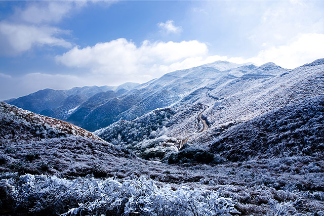 《屏山雪景》谢金俊摄