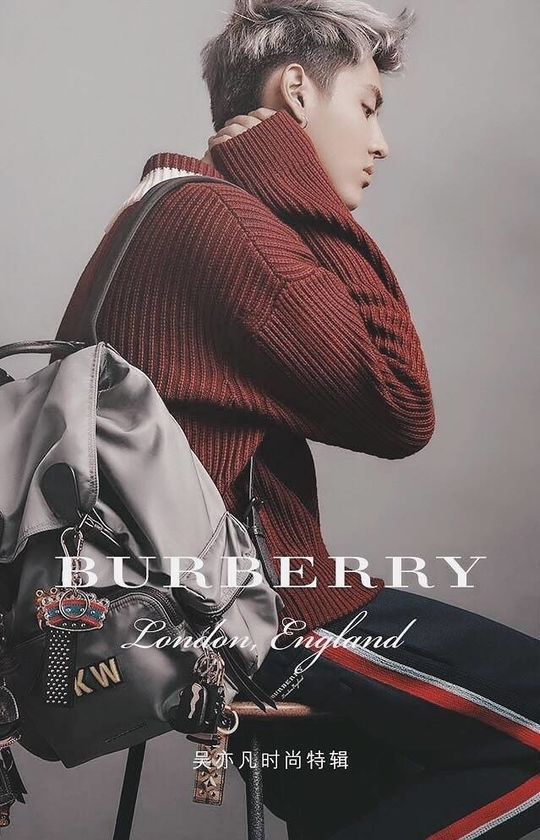 [吴亦凡][新闻]170713 burberry在华销售额大涨 凡先生代言小福星名不