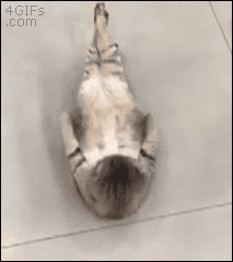 分享一波精神病患者的gif,哈哈哈哈哈