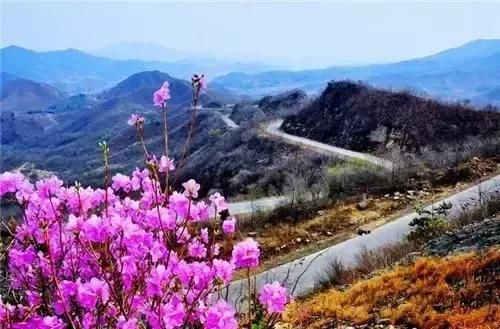 辽宁春游好去处,赏花,踏青,烧烤地点全攻略!
