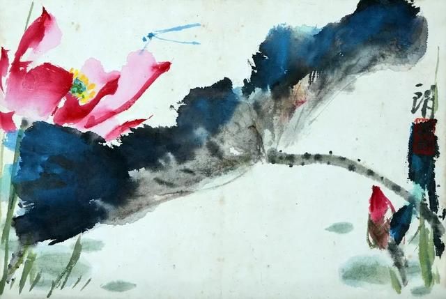 中国当代著名花鸟画家萧朗|写意荷花赏析,美不胜收!