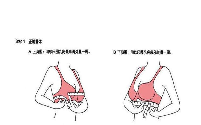 而所谓亵服上的abcde一系列的英文字母,实在代表的是亵服的罩杯尺寸!