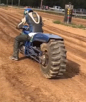 内涵段子:大象,别听她们的,你一点都不胖!