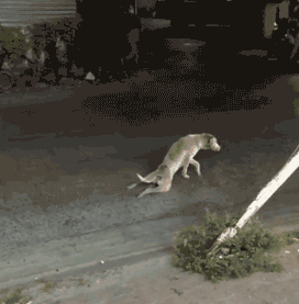 搞笑gif,本想喝个水,一不小心洗了个澡!