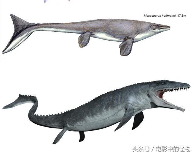 《侏罗纪世界1,2》沧龙评析,大白鲨只是我的下酒菜