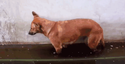 搞笑gif:妹子,就冲你这个表情,三年不亏,五年血赚!