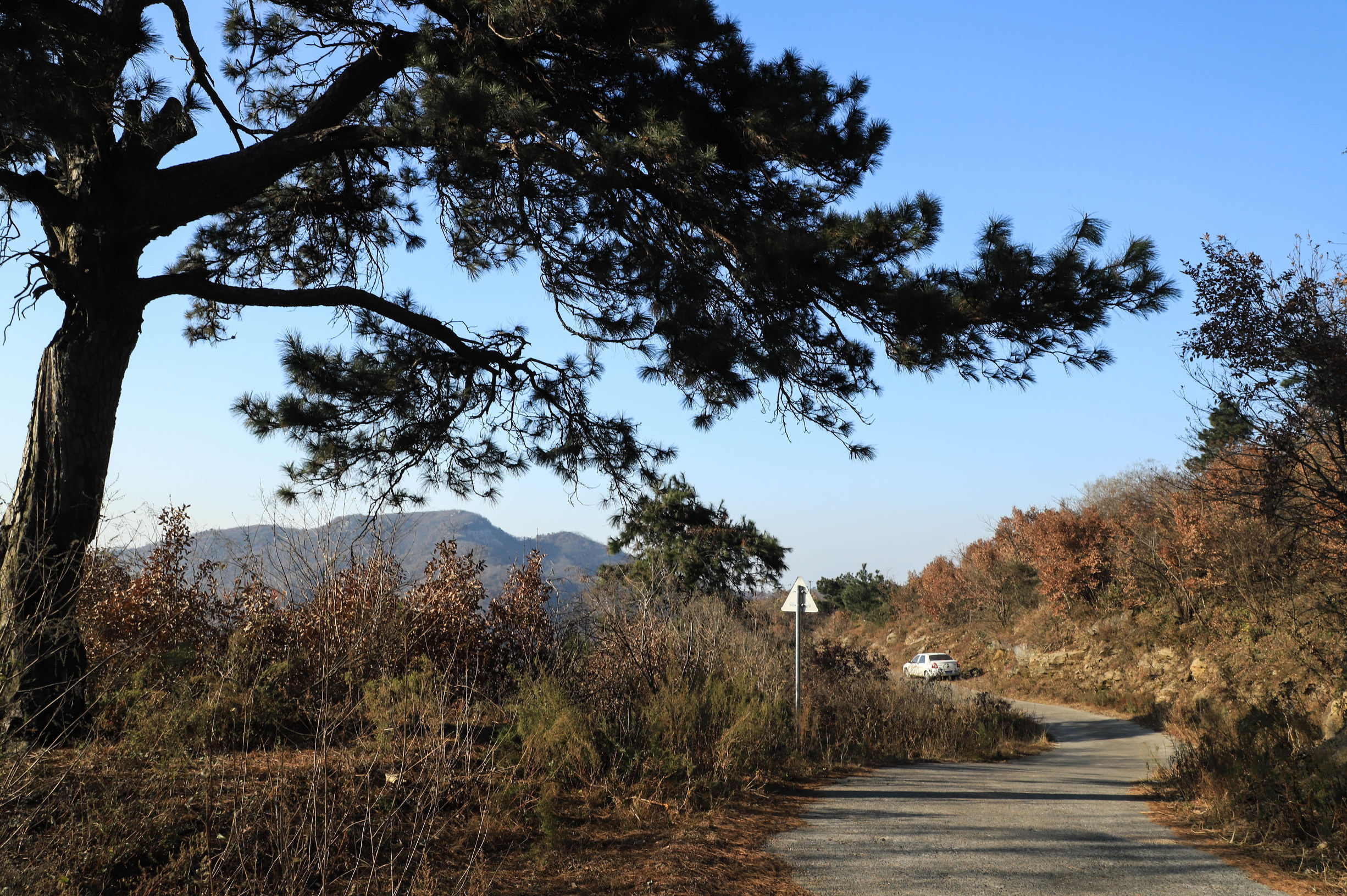 这个古村落山上全是宝,村里人却快走空