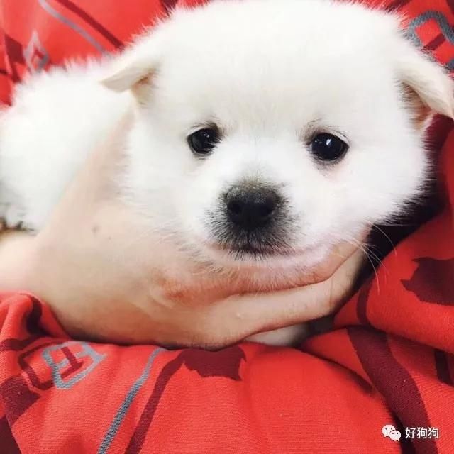 梦的启示，解析梦见自己鞋子上炕时破一个洞，下炕两个洞的深层含义
