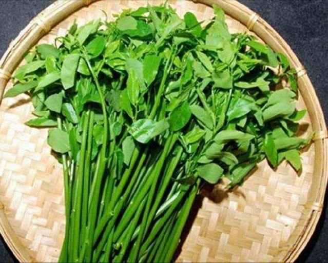 野菜的办法,为了稳妥起见,这位心思缜密的年轻农民搜索了关于天香绿的