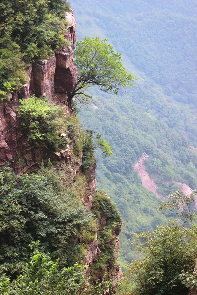 惊现——醉美汝阳之道教圣地铁顶山脚下发现疑似巨型卧佛头像2