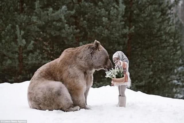 俄罗斯夫妇收养了一只小棕熊,等到熊长大之后,生活画面超级温馨