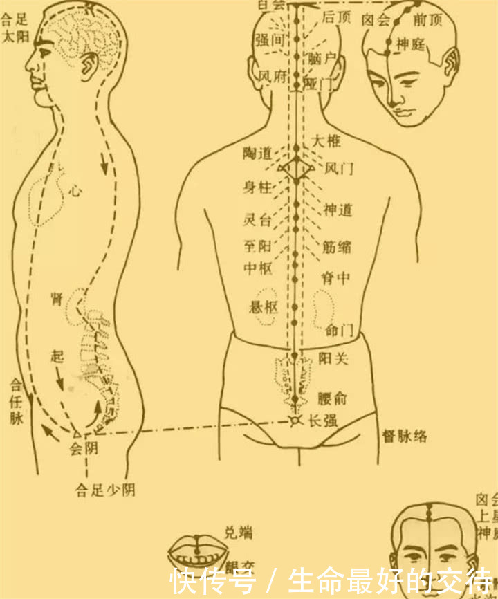 任督二脉真的存在吗?打通后真能成为高手吗?说了你可能不信