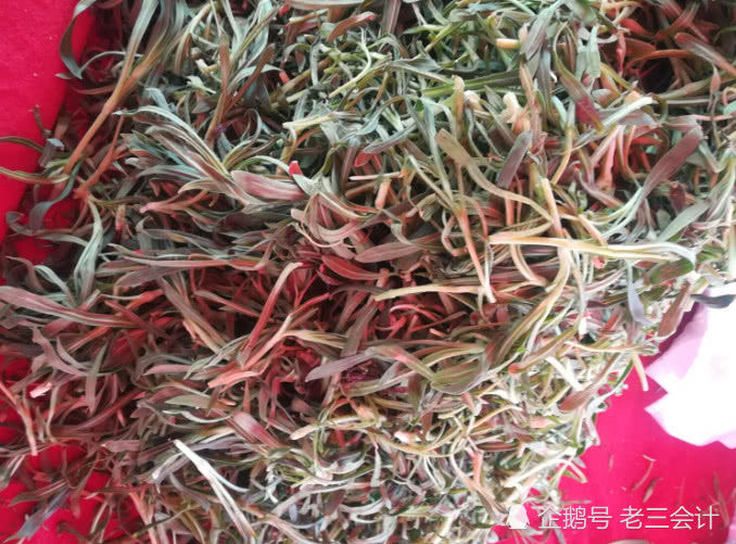 这6种野菜现在吃正当时,做法超简单,吃一次上瘾一次!