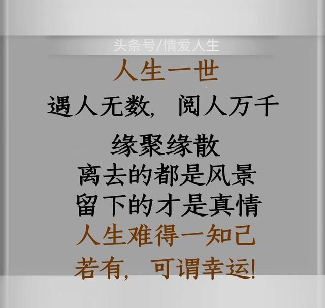 人生难得一知己,若有,可谓幸运!(美文鸡汤)