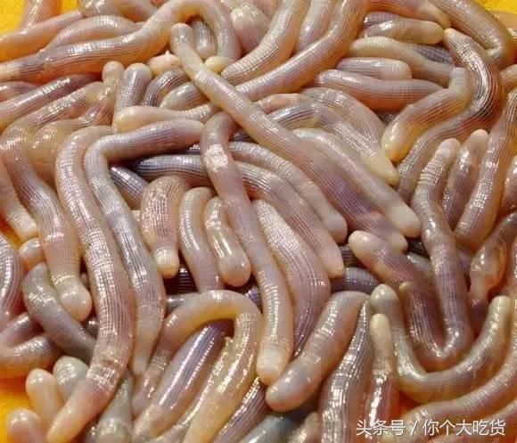 食材|土笋冻: