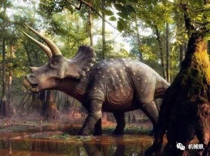 犀牛是三角恐龙的后代吗?犀牛的祖先长什么样子?