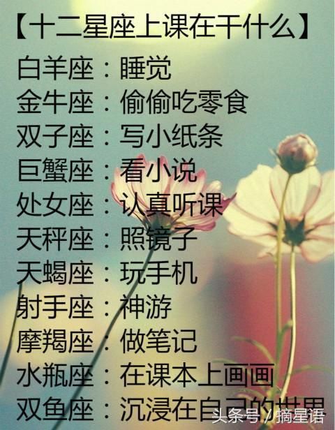 12星座不再相爱de理由,金牛座因为生活,摩羯座因为现实