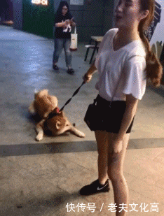 搞笑gif: 妹子好会玩, 会不会被司机认为精神不正常!