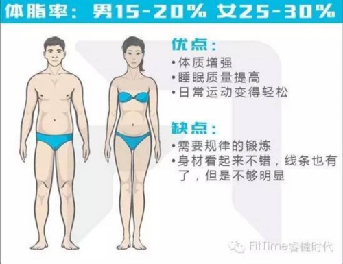体脂率:男15-20 女25-30%
