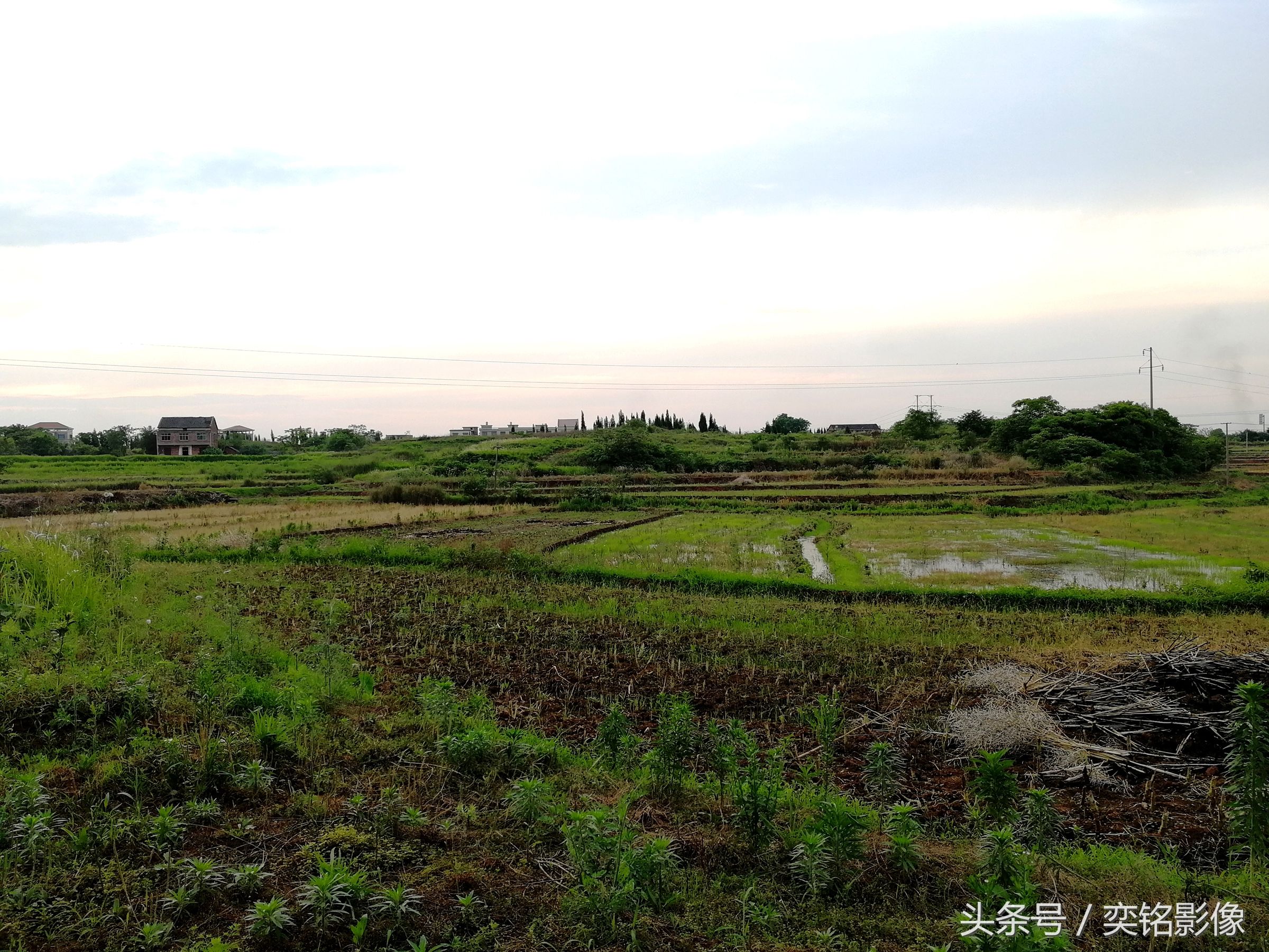 曾经田野里的风吹稻浪香如今荒芜地让你心痛,农忙季已