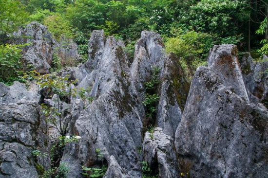 "红岩精神"发源地之一的华蓥山,不仅是一座"红色"的山,更是一座充满