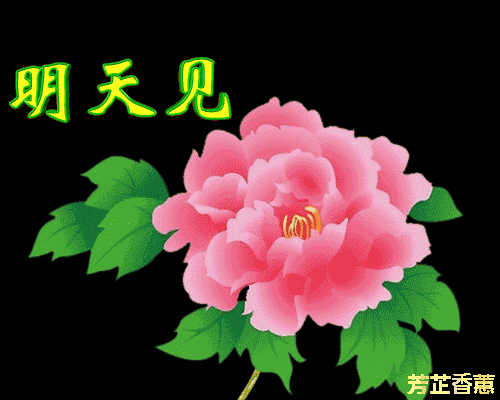 早安!2018新出炉的表情包 动态祝福图片,太美了!赶快发到群里