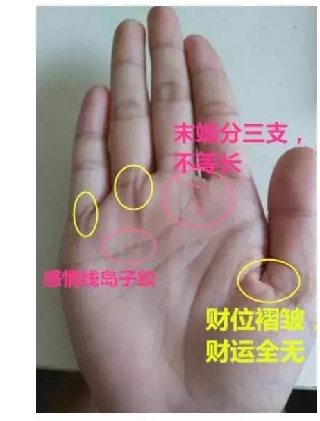 这种手相之人,不论男女,注定一辈子钱财不断,财运亨通