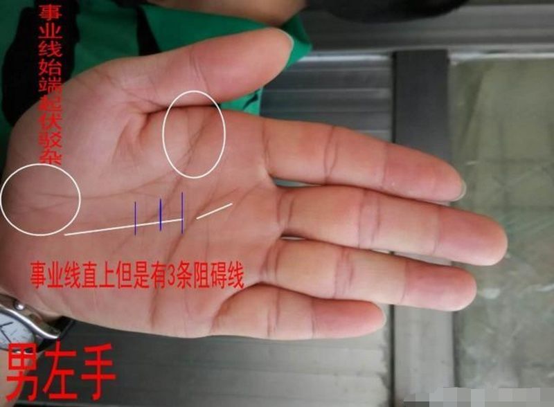 事业线深长,但事业线的起始端驳杂或始于掌心处,一般年少时期家境