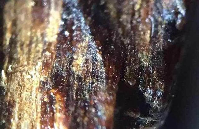 解开奇楠沉香的神秘面纱,请勿被假奇楠蒙蔽