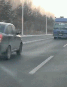 是凤毛麟角一般 搞笑gif趣图:这大冷天的,谁把