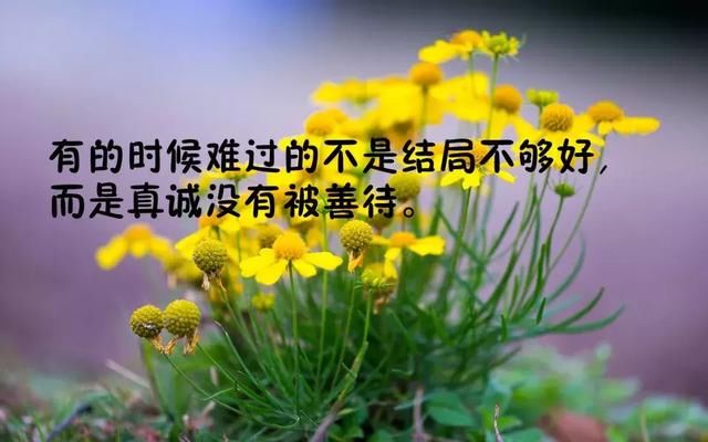 哲理人生感悟微信 经典人生哲理短句