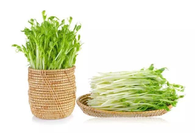 黄豆芽降压,豌豆芽清热,韭菜芽……但这些人"春吃芽"要当心!