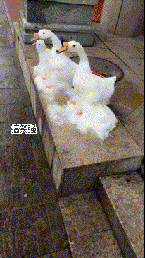 搞笑gif:再一次让我相信了网恋,就算你是化妆我也无所谓了