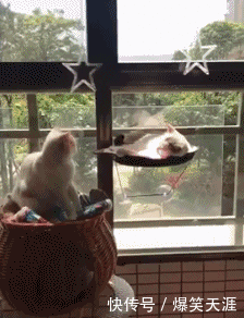 搞笑gif:不好意思帅哥,你走错地方了!