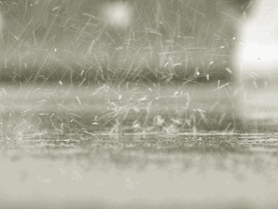 春天收集雨水浇花,升温保证适度日照,爱花旺旺一年