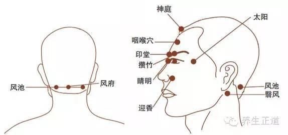 耳穴:肺,外鼻,内鼻,耳尖,肾上腺,咽喉等.