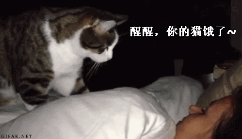 搞笑图片:不是我不好好开车,关键是方向盘太低!