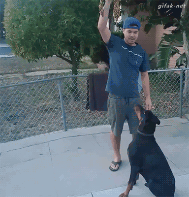 好柔软姑娘,一定能解锁不少技能.