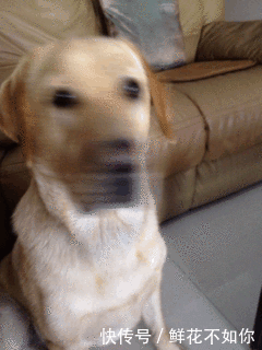 小子你敢对我抛媚眼,信不信我揍你 刚买的全自动点钞机 不错,这舞蹈